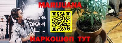 PSILOCYBIN Малгобек