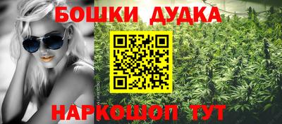 PSILOCYBIN Малгобек